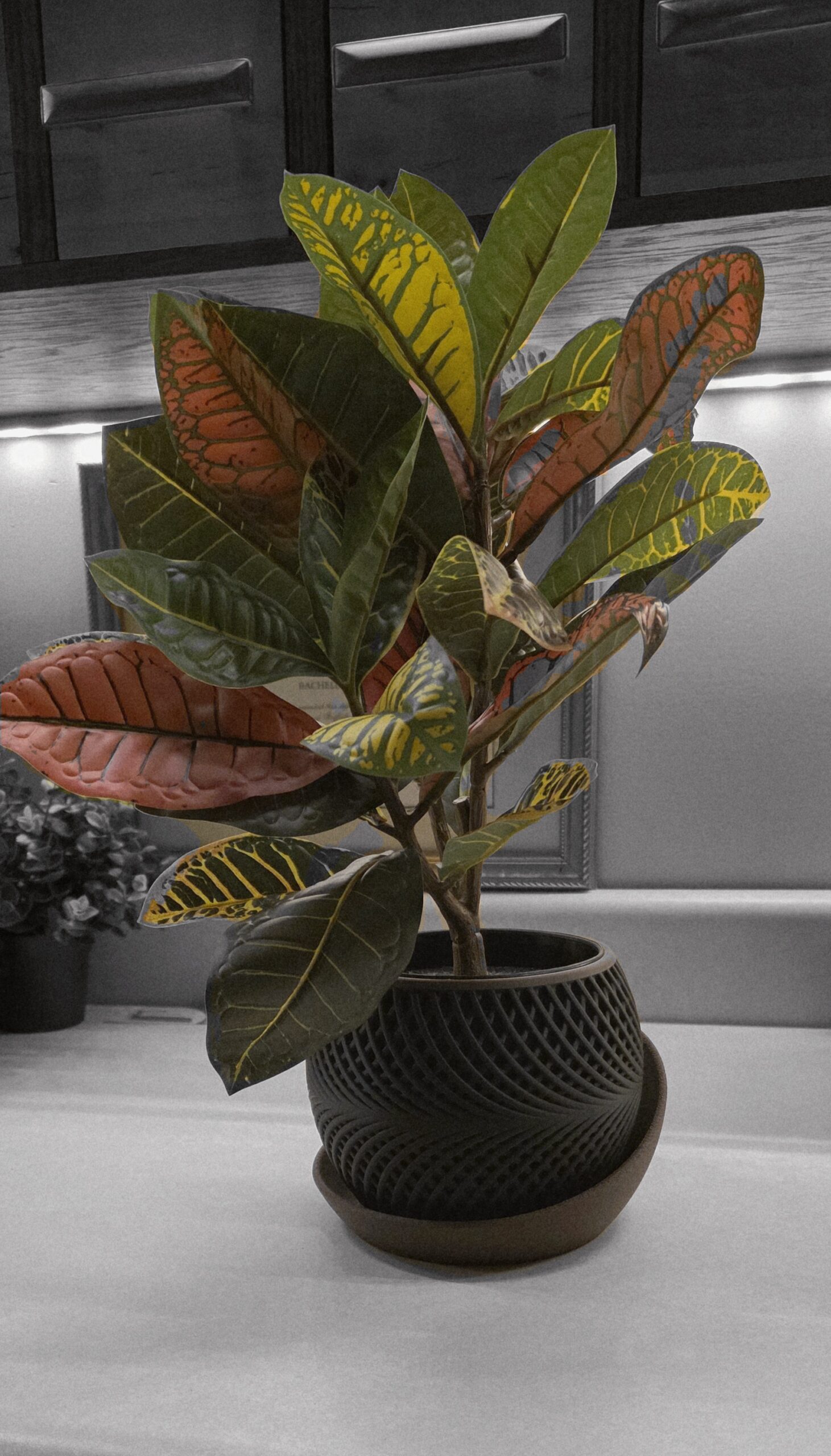 planter 01