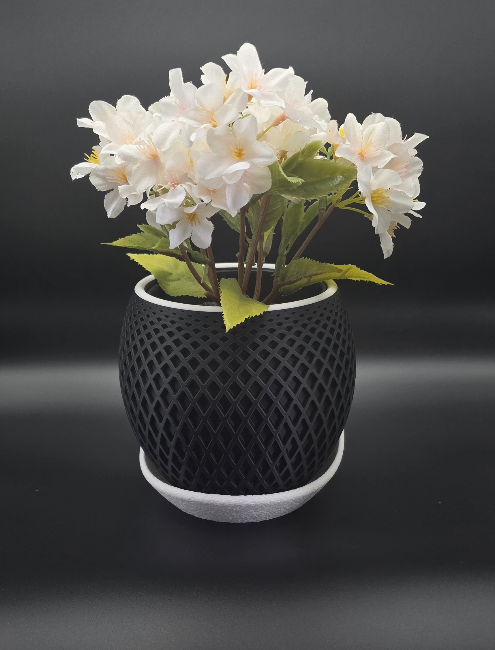planter 02