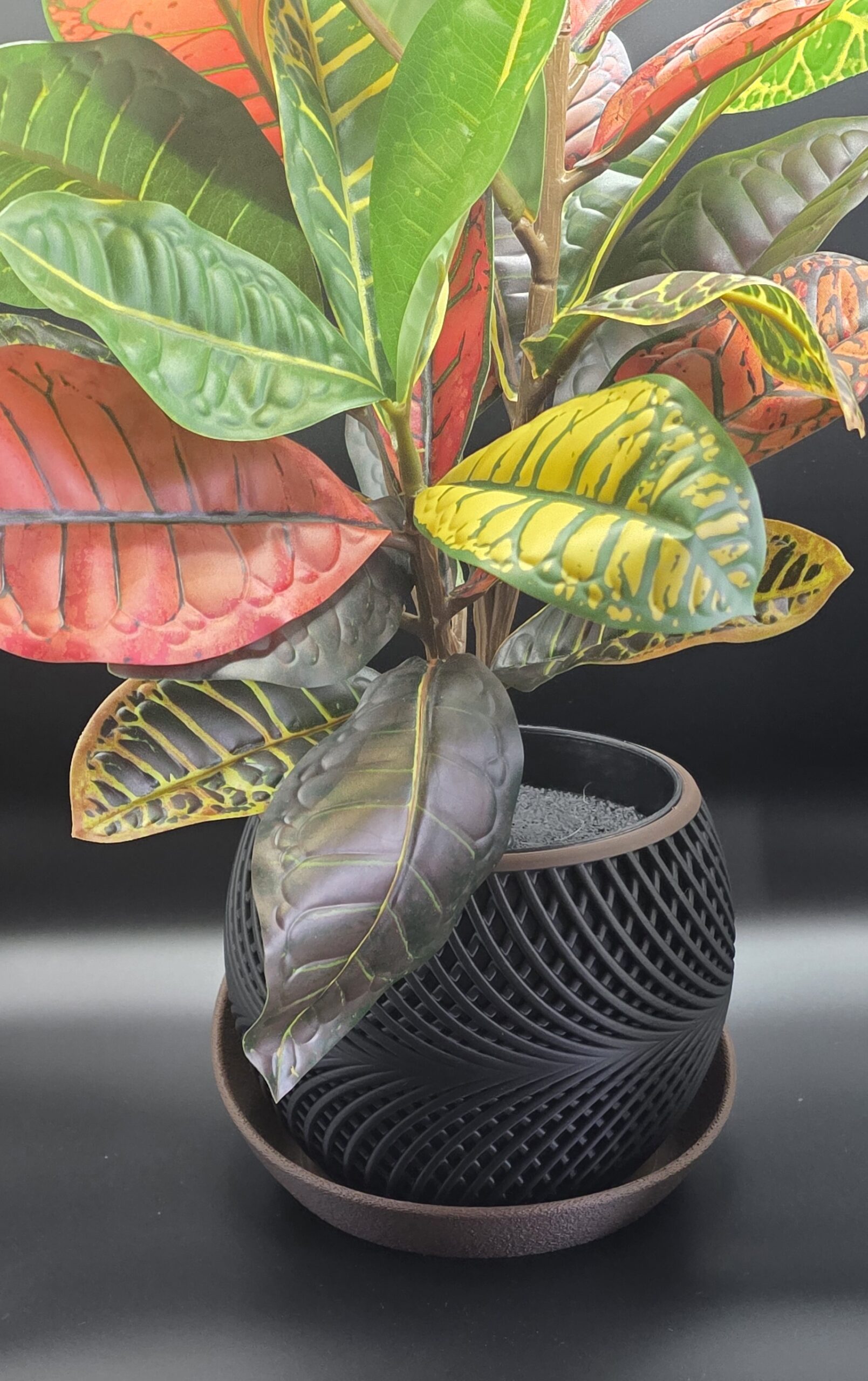 planter 04