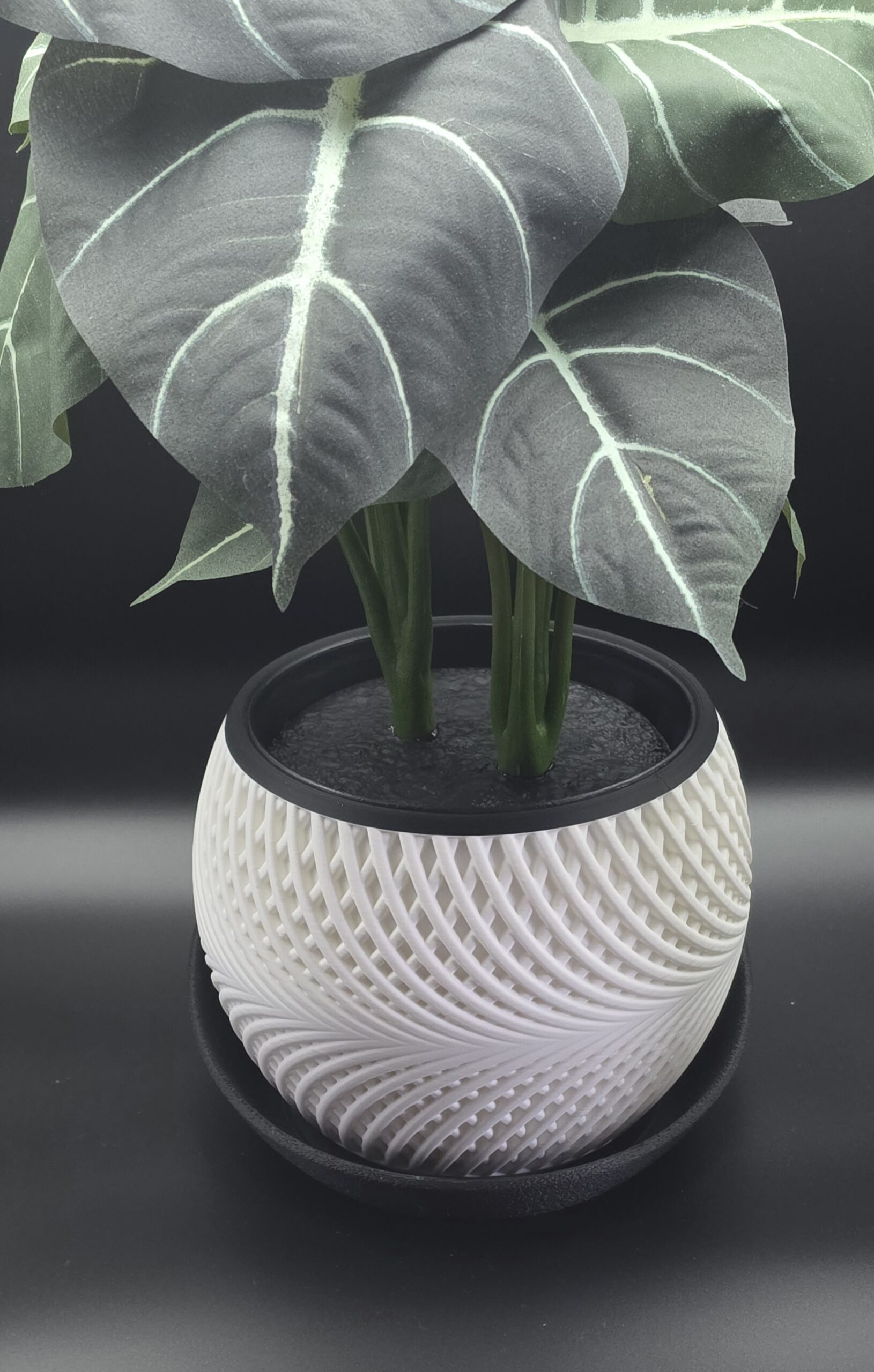 planter 05