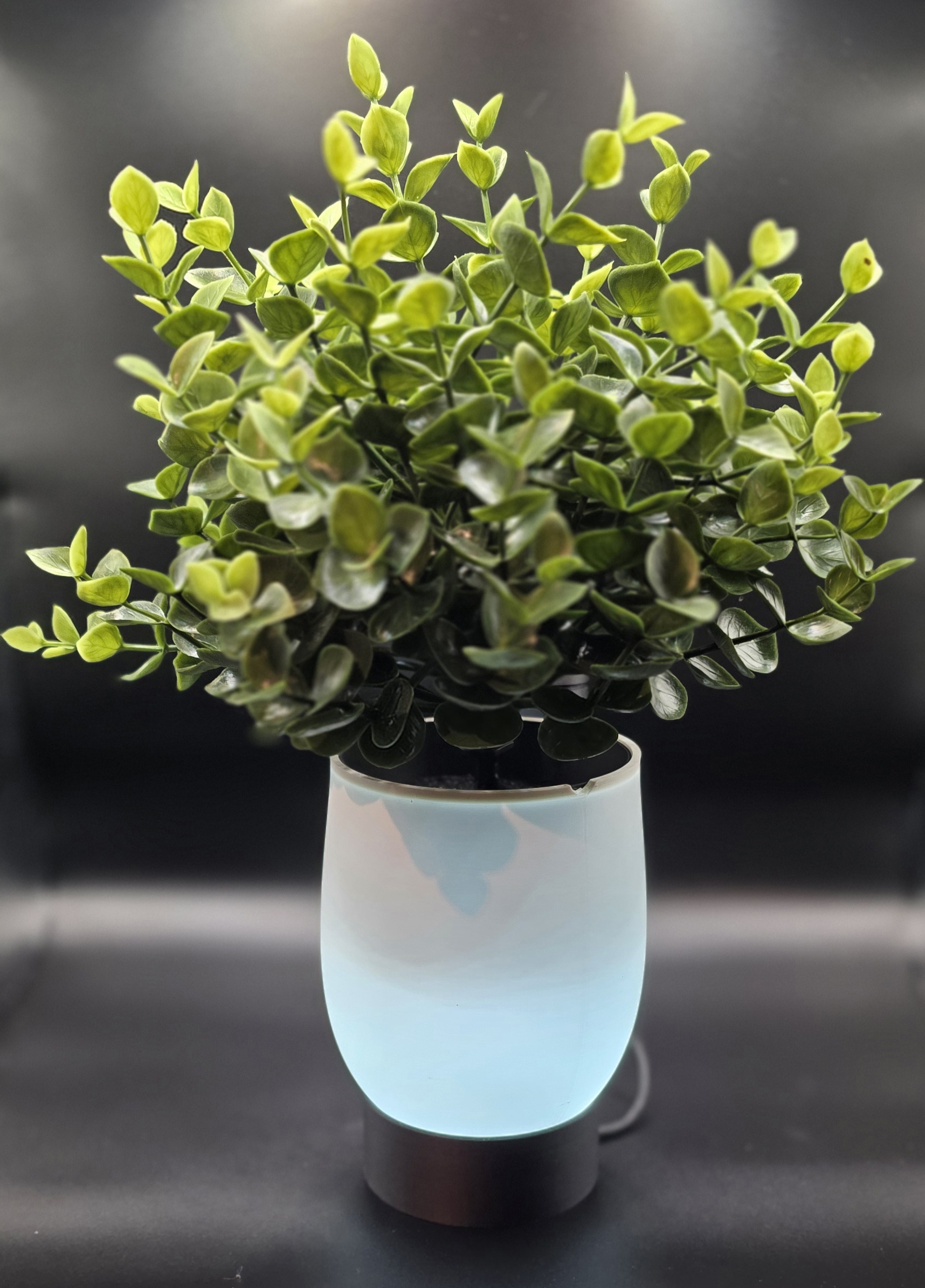 planter 06